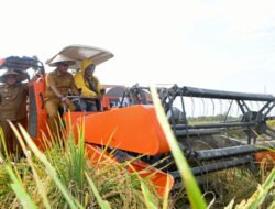 Pj Gubernur Ajak KDH di Sumut Monitoring Stok Pangan Agar Terkendali