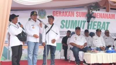 Pj Gubernur Sumut Tanam Cabai di Desa Serdang Asahan