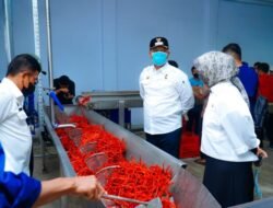 Tinjau Rumah Pasta Cabai di Desa Lubuk Cuik Batubara