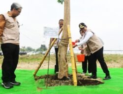 Penanaman Pohon Serentak, Sumut Pilih Kawasan Sport Centre Agar Hijau dan Sejuk