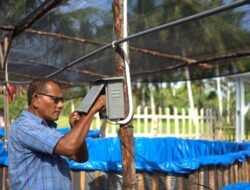 Program Inalum Ciptakan Ekonomi  Berkelanjutan dan Menggunakan Green Energy