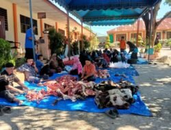 Hari Ke-3 Tasyrik,Kemenag Batubara Sembelih 9 Ekor Sapi