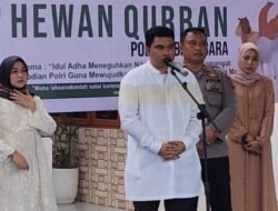 Polres Batubara Sembelih 10 Sapi