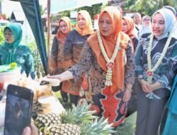 Tim Monitoring PKK Sumut di Langkat