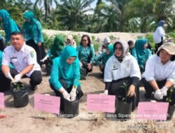 Pj Ketua TP PKK Bersama Dinas Pertanian dan Perkebunan Batubara Gertam Cabai