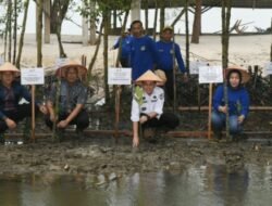 Peringatan HMPI di Sumut, Pj Gubernur Tanam Mangrove di Pantai Romantis