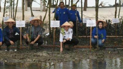 Peringatan HMPI di Sumut, Pj Gubernur Tanam Mangrove di Pantai Romantis
