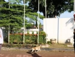 Sekretariat KPU Batubara Apel Pagi