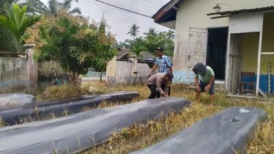 Polsek Labuhan Ruku Ajak Warga Desa Mekar Mulio Tanam Cabai