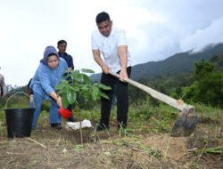 Komitmen Gubernur Sumut,Lestarikan Hutan Dengan Tanam Pohon di Simalungun