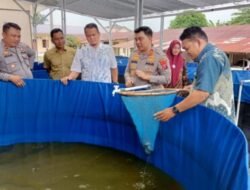Polres Batubara Panen Ikan Lele Dumbo