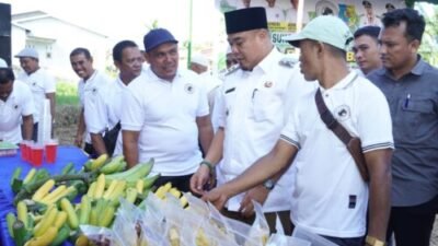 Wujudkan Ekonomi Mandiri di Batubara, Koperasi Berbasis Sawit, Kelapa dan Pisang Diresmikan 