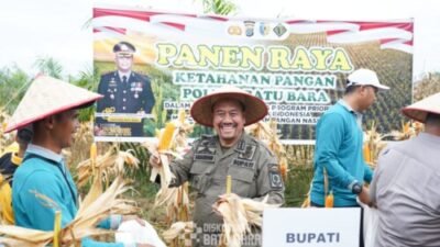 Panen Raya Jagung di Batubara Simbol Dukung Ketahanan Pangan Presiden