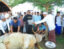 Wabup Labura Saksikan Penyembelihan Kurban Presiden Prabowo di Hari Raya Idul Adha 1446 H