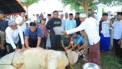 Wabup Labura Saksikan Penyembelihan Kurban Presiden Prabowo di Hari Raya Idul Adha 1446 H