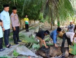 Idul Adha 1446 H, Polres Tebing Tinggi Sembelih 31Kurban