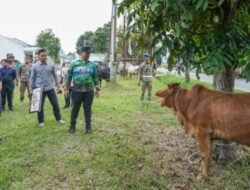 Idul Adha 1446 H,Batubara Terima Sapi Qurban dari Presiden Prabowo dan Gubernur Sumut