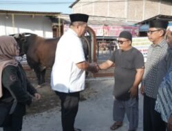 Hewan Qurban Presiden Prabowo Untuk Masyarakat Asahan
