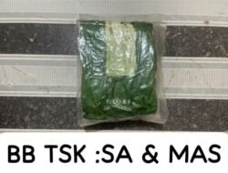 Polres Batubara Gagalkan Peredaran 1 Kg Sabu, Dua Pengedar Diringkus di Medang Deras