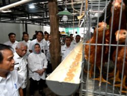 Pemprov Sumut Garap Potensi Retribusi Baru dari Tahura Bukit Barisan