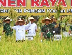 Panen Raya 80 Hektare Bersama Panglima TNI, Wagub Sumut:Ketahanan Pangan Adalah Pertahanan Negara