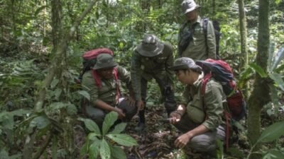 Inalum Dukung Patroli Konservasi dan Perlindungan Hutan TNGL