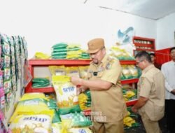 Bupati Batubara Tinjau Pelayanan Berlayar di Lubuk Cuik