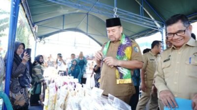 Program UP2K PKK Batubara Untuk Dongkrak Ekonomi Warga Desa Mekar Baru
