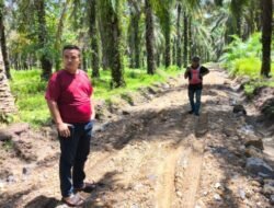 Anggota DPRD NasDem Labura Perbaiki Jalan Rusak Pakai Uang Pribadi