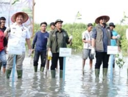 Menteri Kehutanan dan Wamen Tinjau Konservasi Hutan Mangrove di Batubara