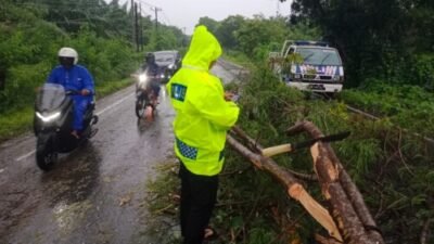 Satlantas Polres Batubara Gerak Cepat Evakuasi Pohon Tumbang