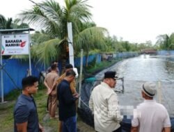 Tambak Udang Vaname di Batubara Dorong Ketahanan Pangan dan Ekonomi Warga