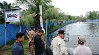 Tambak Udang Vaname di Batubara Dorong Ketahanan Pangan dan Ekonomi Warga