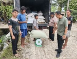 Stabilitas Harga Pangan, 194 Ton Jagung Batubara Masuk ke Bulog Asahan