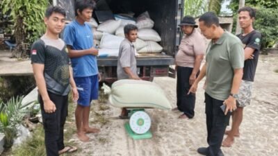 Stabilitas Harga Pangan, 194 Ton Jagung Batubara Masuk ke Bulog Asahan