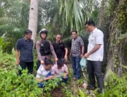 GSN Batubara Bongkar Sarang Sabu di Kebun Sawit Gambus Laut, Dua Ditangkap