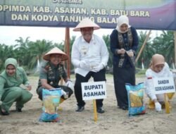 Forkopimda Asahan Dorong Ekspansi Tanam Padi Gogo