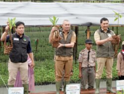 Sumut Tanam 8.307 Ha Mangrove, Komitmen Kuat Lawan Perubahan Iklim