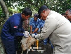 Bupati Batubara Pastikan Ternak Aman