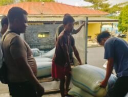 Jagung Petani Batubara Masuk Bulog Asahan 223 Ton