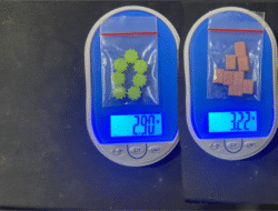 Dua Pemuda Dibekuk Satres Narkoba Batubara, Pil Ekstasi Berlogo LV–Rolex Disita