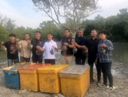 Polres Batubara Bongkar Bisnis Gelap Satwa Dilindungi, 300 Belangkas, Dua Ditangkap