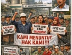 Upah Tak Kunjung Dibayar, Buruh Vendor PT Wilmar Batubara Terjepit