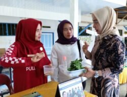 Posyandu Melur Asahan Rujukan Studi Tiru Persit Chandra Kirana