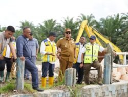 Sinergi Pemkab Batubara dan BWS Sumut, Pastikan Air Petani Normal