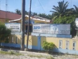 Aset Desa “Disandera”, Program Cabai Rp80 Juta Merugi, Warga Lubuk Cuik Minta Audit