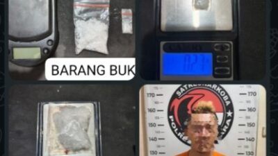 Sabu 10 Gram Disita, Polisi Batubara Tangkap Pria di Desa Suka Maju