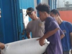 Dukung Program Presiden, 83,702 Ton  Jagung Petani Batubara Masuk Bulog Asahan