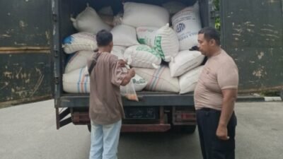 Distribusi Jagung Batubara Tembus 166 Ribu Ton ke Asahan