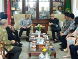 Sumut Tawarkan Investasi Jepang di KEK Sei Mangkei dan BRT